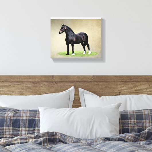 Welsh Cob Canvas Print (Insitu (Slaapkamer))