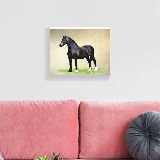 Welsh Cob Canvas Print (Insitu (Woonkamer))