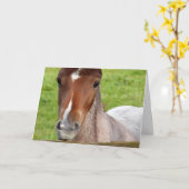 Welsh cob foal Birthday card Kaart (Gele Bloem)