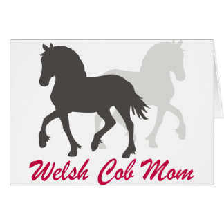 Welsh Cob mama