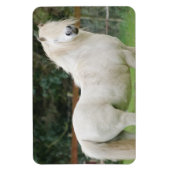 Welsh Cob paard Flexibele Magneet (Verticaal)