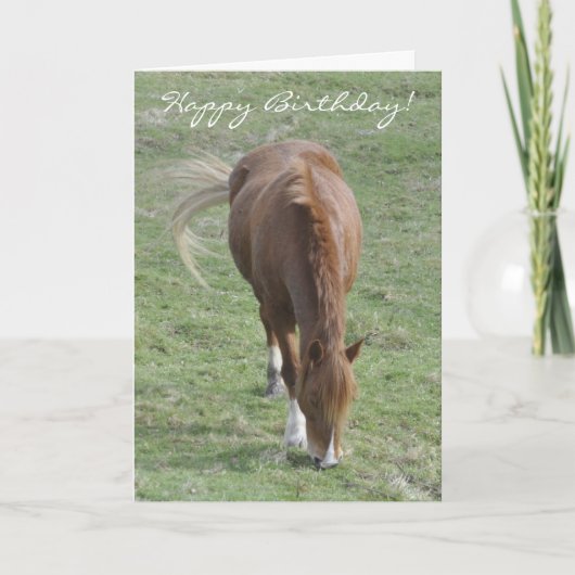 Welsh cob verjaardagskaart kaart (Voorkant)