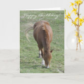 Welsh cob verjaardagskaart kaart (Gele Bloem)
