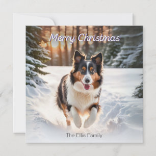 Welsh Collie Dog Snow Waterverf Vrolijk Kerstfeest Feestdagenkaart