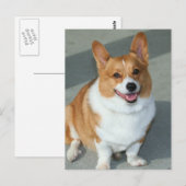 Welsh Corgi Briefkaart (Voorkant / Achterkant)