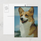 Welsh Corgi Briefkaart (Voorkant / Achterkant)