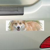 Welsh Corgi Bumpersticker (Op auto)