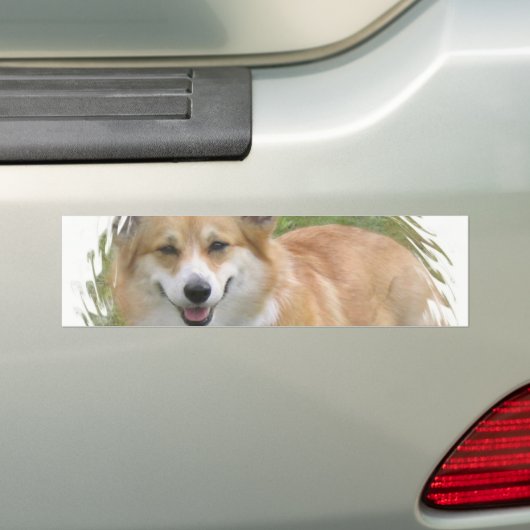 Welsh Corgi Bumpersticker (Op auto)