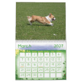 Welsh Corgi Calendar Kalender (Mar 2027)