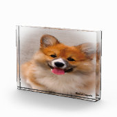 Welsh Corgi Dog. Fotoblokken (Rechts)