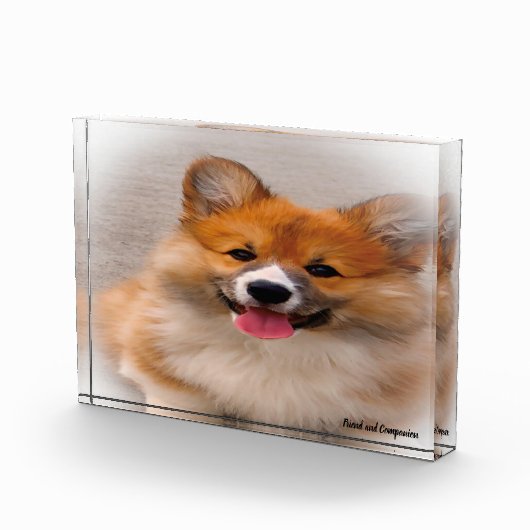 Welsh Corgi Dog. Fotoblokken (Rechts)