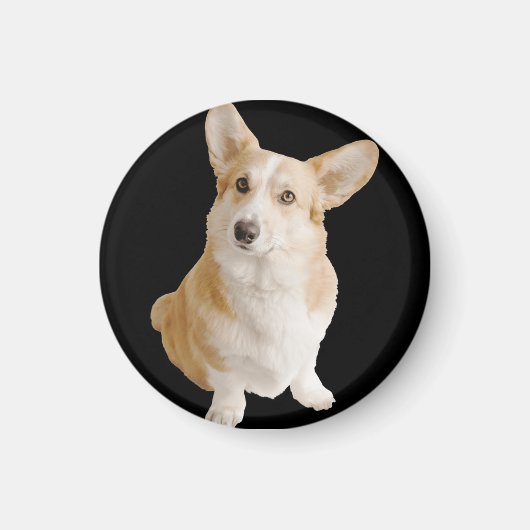 Welsh Corgi Dog Magneet (Voorkant)