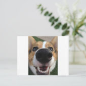 Welsh Corgi Dog Nose Collectie Briefkaart (Staand voorkant)