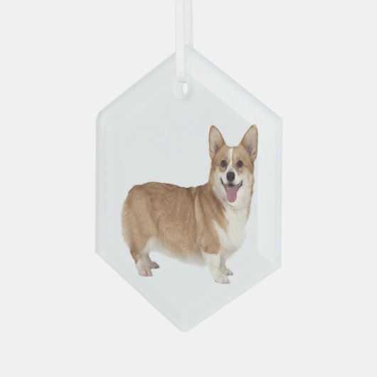 Welsh Corgi Dog Pet Animal Glass Ornament (Voorkant links)