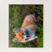 Welsh Corgi Dogs Jigsaws. Legpuzzel (Verticaal)
