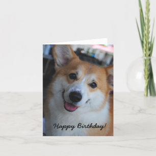 Welsh Corgi Happy Birthday Card Kaart
