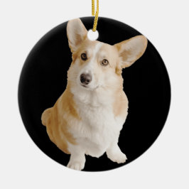 Welsh Corgi Hondenras Foto Ornament