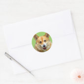 Welsh Corgi "Jazz" hekken voor Fido Stickers (Envelop)