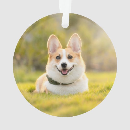Welsh Corgi kerstspeldenhond Ornament (achterkant)