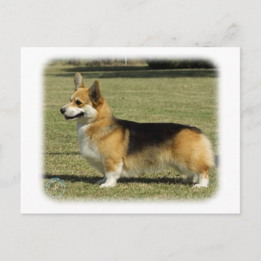 Welsh Corgi (Pembroke) Briefkaart (Voorkant)