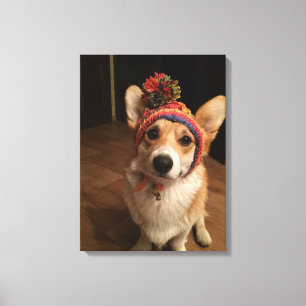 Welsh Corgi Pembroke die met de hand een Pet van h Canvas Afdruk