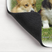 Welsh Corgi (Pembroke) Muismat (Hoek)