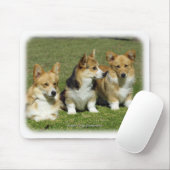 Welsh Corgi (Pembroke) Muismat (Met muis)