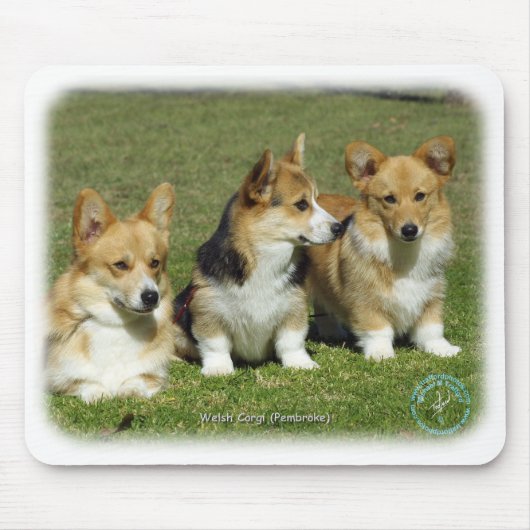 Welsh Corgi (Pembroke) Muismat (Voorkant)
