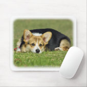 Welsh Corgi (Pembroke) Muismat (Met muis)