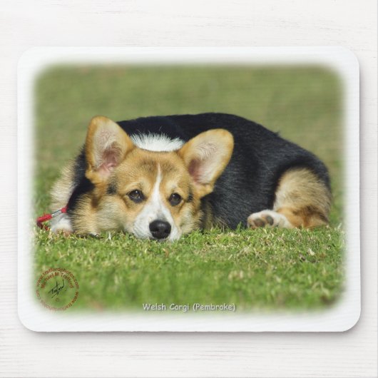 Welsh Corgi (Pembroke) Muismat (Voorkant)