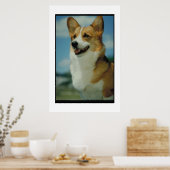 Welsh Corgi Poster (Keuken)