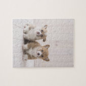Welsh Corgi Puppies Legpuzzel (Horizontaal)