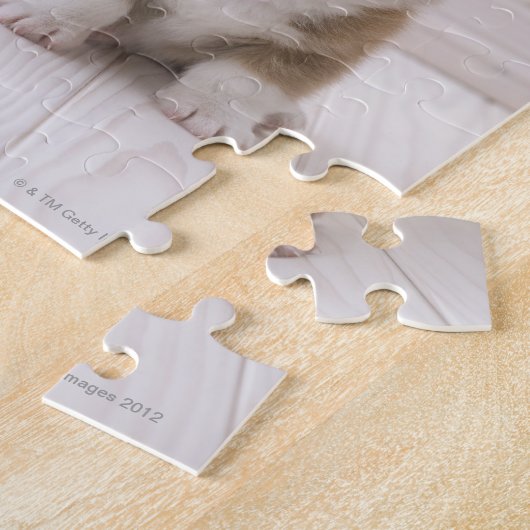 Welsh Corgi Puppies Legpuzzel (Zijkant)