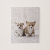 Welsh Corgi Puppies Legpuzzel (Verticaal)