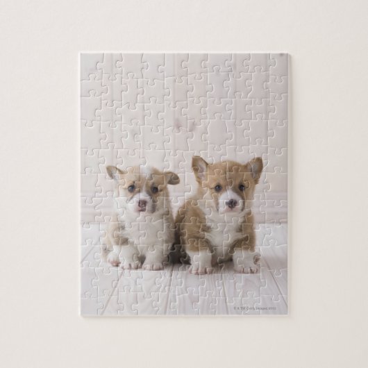 Welsh Corgi Puppies Legpuzzel (Verticaal)