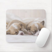 Welsh Corgi Puppies Muismat (Met muis)