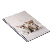 Welsh Corgi Puppies Notitieboek (Rechterzijde)