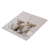 Welsh Corgi Puppies Tegeltje (Zijkant)