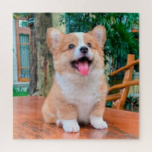 Welsh Corgi puppy Legpuzzel