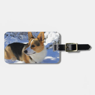 Welsh Corgi Snow Day Bagagelabel