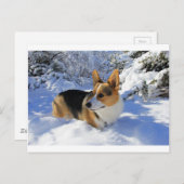 Welsh Corgi Snow Day Briefkaart (Voorkant / Achterkant)