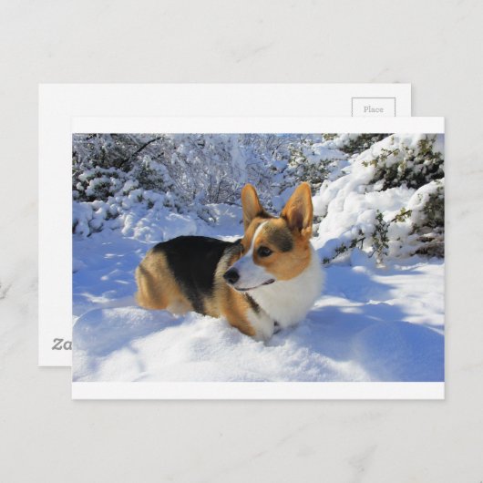 Welsh Corgi Snow Day Briefkaart (Voorkant / Achterkant)