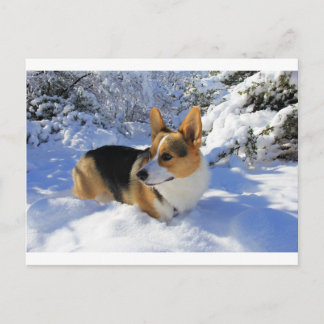Welsh Corgi Snow Day Briefkaart