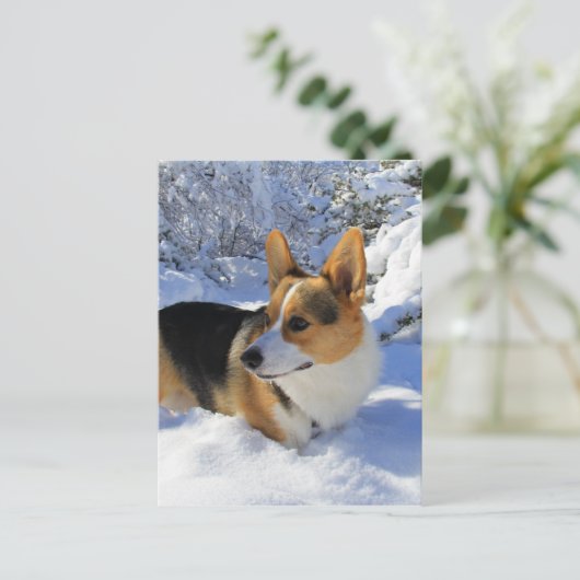Welsh Corgi Snow Day Briefkaart (Staand voorkant)