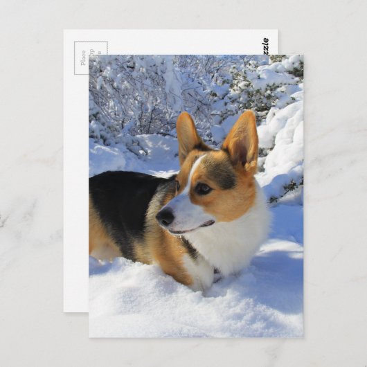 Welsh Corgi Snow Day Briefkaart (Voorkant / Achterkant)