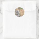 Welsh Corgi Sticker (Tas)