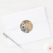 Welsh Corgi Sticker (Envelop)