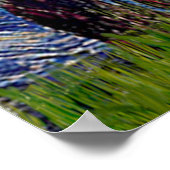 Welsh Corgi Tri Color - Sterrennacht Poster (Hoek)