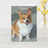 Welsh Corgi Wenskaart Kaart (Gele Bloem)