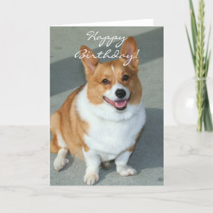Welsh Corgi Wenskaart Kaart